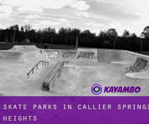 Skate Parks in Callier Springs Heights