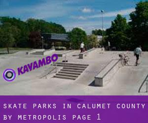 Skate Parks in Calumet County by metropolis - page 1
