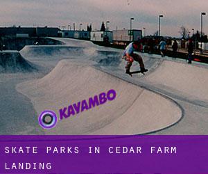 Skate Parks in Cedar Farm Landing