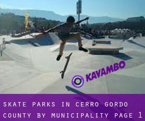 Skate Parks in Cerro Gordo County by municipality - page 1