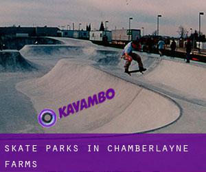 Skate Parks in Chamberlayne Farms