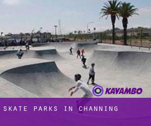 Skate Parks in Channing