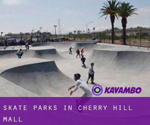 Skate Parks in Cherry Hill Mall
