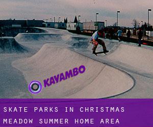 Skate Parks in Christmas Meadow Summer Home Area