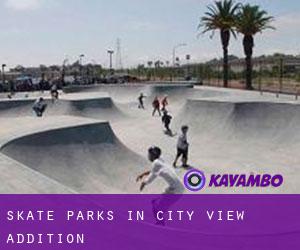 Skate Parks in City View Addition