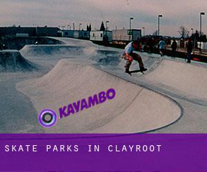 Skate Parks in Clayroot
