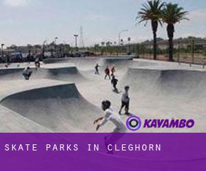 Skate Parks in Cleghorn