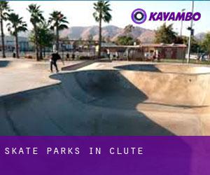 Skate Parks in Clute