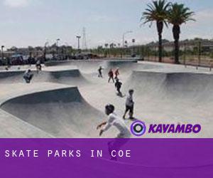 Skate Parks in Coe