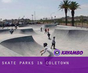 Skate Parks in Coletown