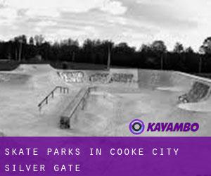 Skate Parks in Cooke City-Silver Gate