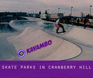 Skate Parks in Cranberry Hill