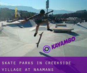 Skate Parks in Creekside Village at Naamans