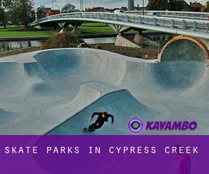 Skate Parks in Cypress Creek