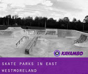 Skate Parks in East Westmoreland