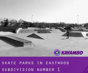 Skate Parks in Eastwood Subdivision Number 1