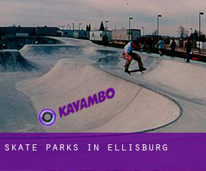 Skate Parks in Ellisburg
