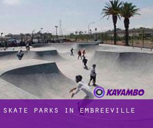 Skate Parks in Embreeville