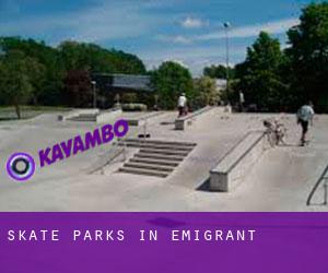 Skate Parks in Emigrant