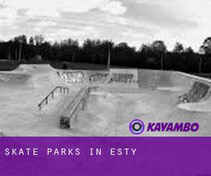Skate Parks in Esty