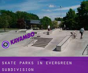 Skate Parks in Evergreen Subdivision