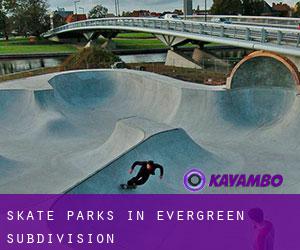 Skate Parks in Evergreen Subdivision