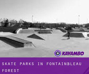 Skate Parks in Fontainbleau Forest