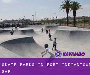 Skate Parks in Fort Indiantown Gap