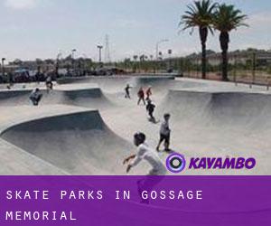 Skate Parks in Gossage Memorial