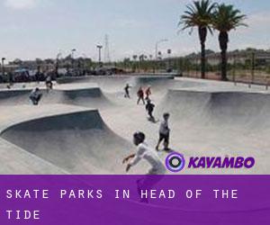 Skate Parks in Head of the Tide