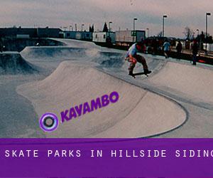 Skate Parks in Hillside Siding