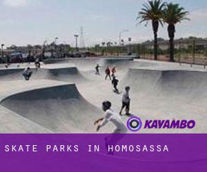 Skate Parks in Homosassa