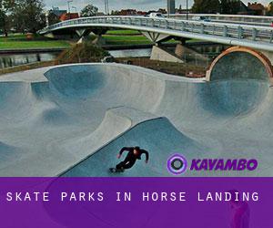 Skate Parks in Horse Landing