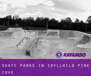 Skate Parks in Idyllwild-Pine Cove