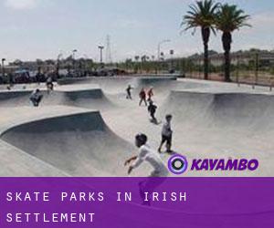 Skate Parks in Irish Settlement