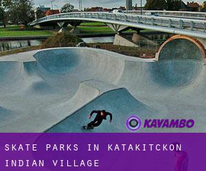 Skate Parks in Katakitckon Indian Village