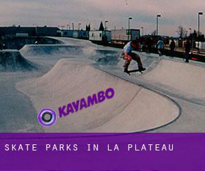 Skate Parks in La Plateau