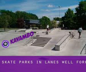 Skate Parks in Lanes Well Fork