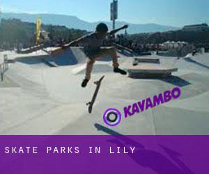 Skate Parks in Lily