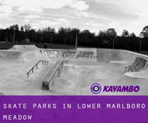 Skate Parks in Lower Marlboro Meadow
