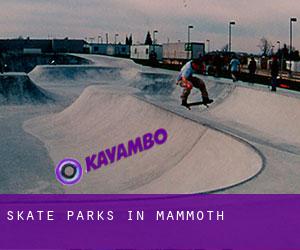 Skate Parks in Mammoth