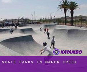 Skate Parks in Manor Creek