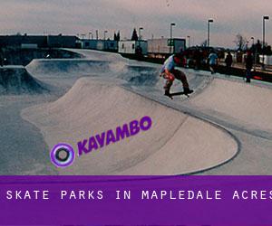Skate Parks in Mapledale Acres