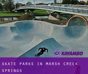 Skate Parks in Marsh Creek Springs