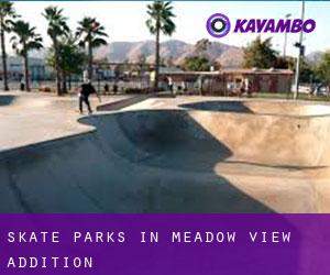 Skate Parks in Meadow View Addition
