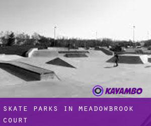 Skate Parks in Meadowbrook Court