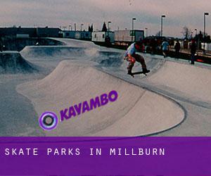 Skate Parks in Millburn