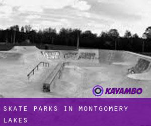 Skate Parks in Montgomery Lakes