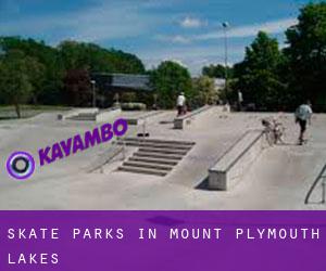Skate Parks in Mount Plymouth Lakes