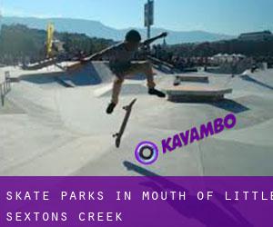 Skate Parks in Mouth of Little Sextons Creek